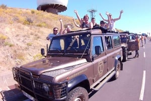 フンシャル：ピコ・アリエロ、クリスト・レイ、イルカウォッチング