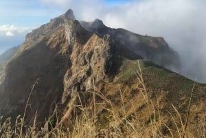 Funchal: Pico Grande Guided Hike with Curral das Freiras