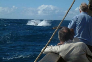 Funchal: Piratskibskrydstogt med vin- og honningkagesmagning