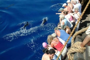 Funchal: Piratskibskrydstogt med vin- og honningkagesmagning