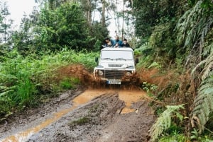 Funchal: Porto Moniz, Fanal Forest and Cabo Girao Jeep Tour