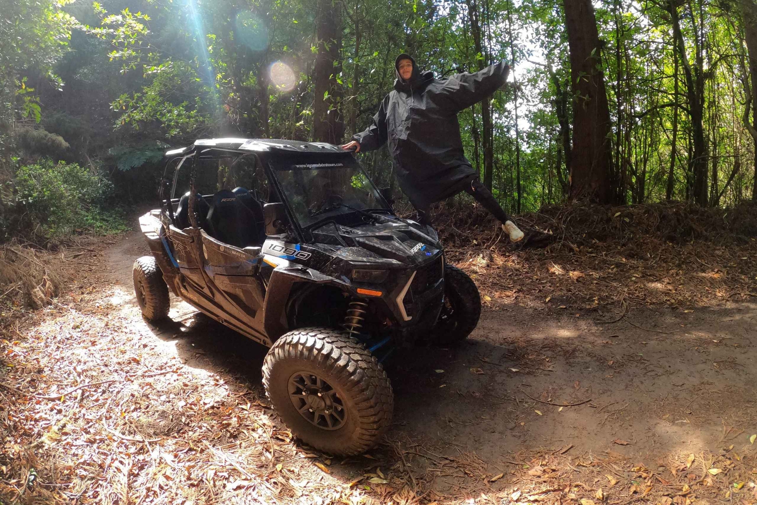 フンシャル：プライベートバギーで楽しむ森の冒険をお楽しみください