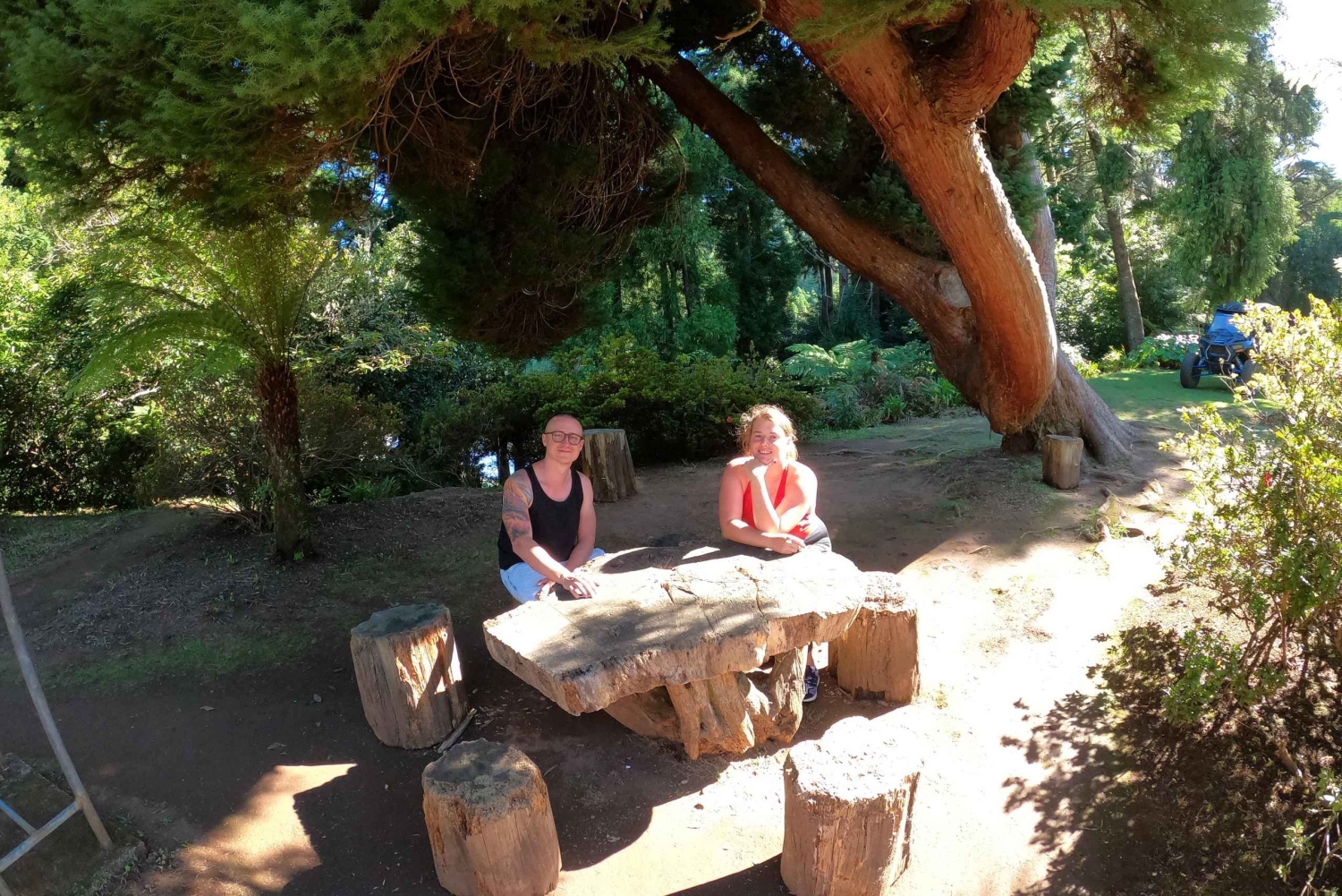 フンシャル：プライベートバギーで楽しむ森の冒険をお楽しみください