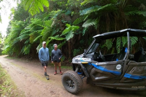 フンシャル：プライベートバギーで楽しむ森の冒険をお楽しみください