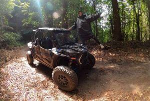フンシャル：プライベートバギーで楽しむ森の冒険をお楽しみください
