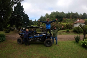 フンシャル：プライベートバギーで楽しむ森の冒険をお楽しみください