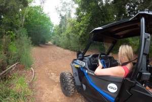 フンシャル：プライベートバギーで楽しむ森の冒険をお楽しみください
