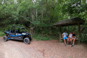 フンシャル：プライベートバギーで楽しむ森の冒険をお楽しみください