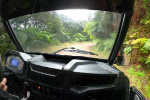 フンシャル：プライベートバギーで楽しむ森の冒険をお楽しみください