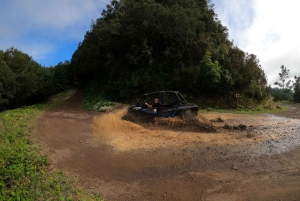 フンシャル：プライベートバギーで楽しむ森の冒険をお楽しみください