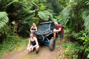 フンシャル：プライベートバギーで楽しむ森の冒険をお楽しみください