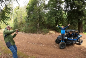 フンシャル：プライベートバギーで楽しむ森の冒険をお楽しみください