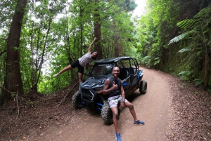 フンシャル：プライベートバギーで楽しむ森の冒険をお楽しみください