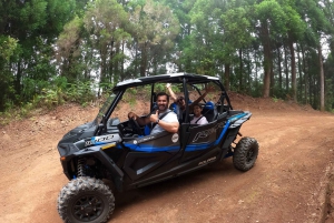 フンシャル：プライベートバギーで楽しむ森の冒険をお楽しみください
