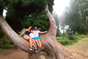 フンシャル：プライベートバギーで楽しむ森の冒険をお楽しみください