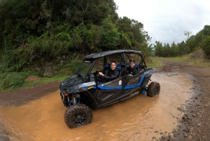 フンシャル：プライベートバギーで楽しむ森の冒険をお楽しみください