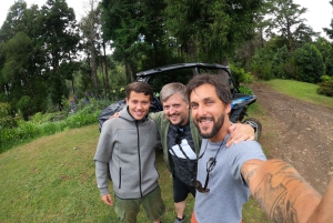 フンシャル：プライベートバギーで楽しむ森の冒険をお楽しみください