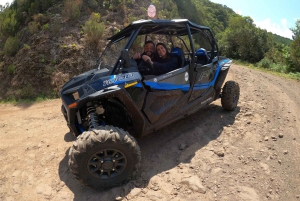 フンシャル：プライベートバギーで楽しむ森の冒険をお楽しみください