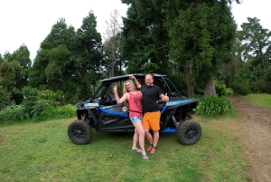 フンシャル：プライベートバギーで楽しむ森の冒険をお楽しみください