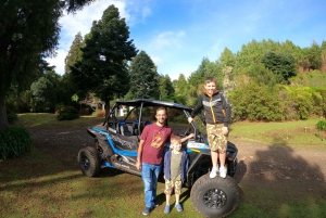 フンシャル：プライベートバギーで楽しむ森の冒険をお楽しみください