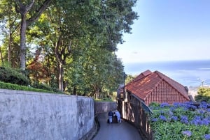 Funchal: Private Cable Car, Toboggan, and Skywalk Tour