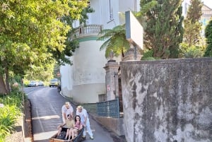 Funchal: Private Cable Car, Toboggan, and Skywalk Tour