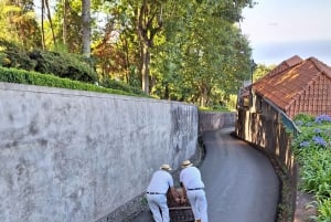 Funchal: Private Cable Car, Toboggan, and Skywalk Tour