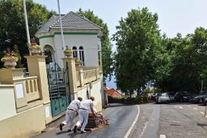 Funchal: Private Cable Car, Toboggan, and Skywalk Tour