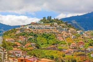 Funchal : Private Custom Tour with a Local Guide