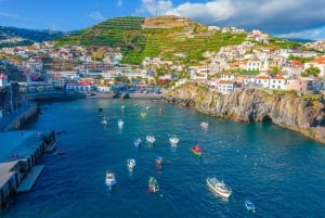 Funchal: Private Guided Cabo Girão Tour