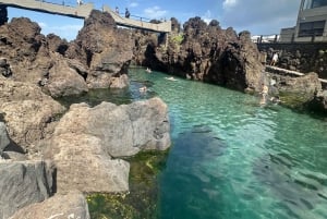 Funchal: Private Madeira North Coast Tour with Pickup