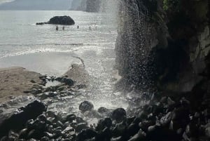 Funchal: Private Madeira North Coast Tour with Pickup