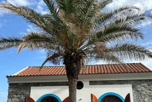 Funchal: Private Madeira North Coast Tour with Pickup