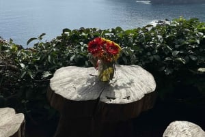 Funchal: Private Madeira North Coast Tour with Pickup