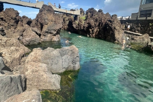 Funchal: tour privado por la costa norte de Madeira con recogida