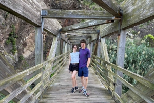 Funchal: tour privado por la costa norte de Madeira con recogida