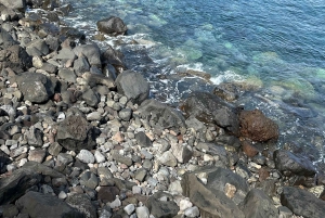 Funchal: tour privado por la costa norte de Madeira con recogida