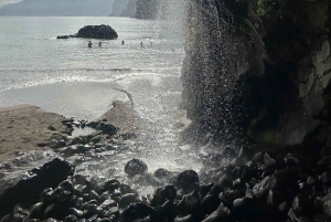 Funchal: tour privado por la costa norte de Madeira con recogida