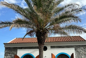 Funchal: tour privado por la costa norte de Madeira con recogida