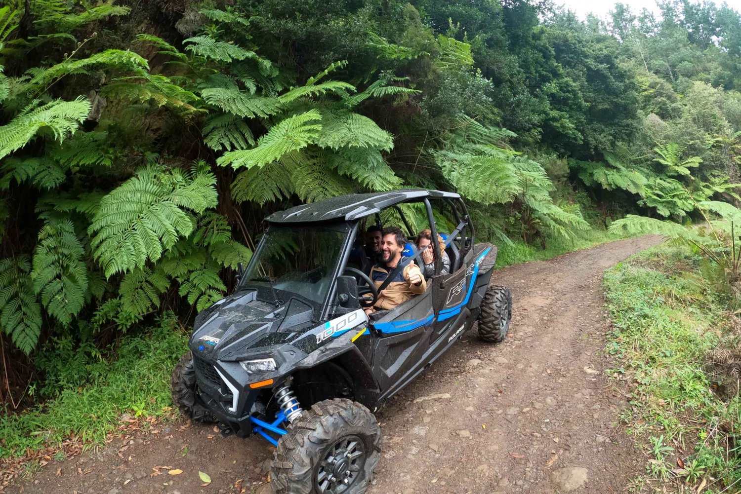 Exclusive Private Buggy Adventure: Forest and Mountains