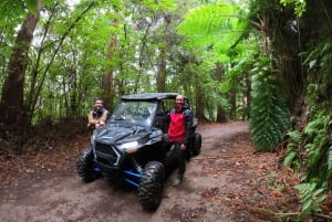 Exclusive Private Buggy Adventure: Forest and Mountains