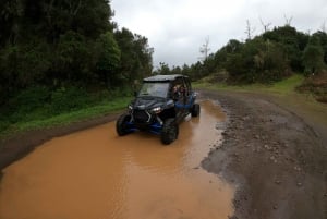 Exclusive Private Buggy Adventure: Forest and Mountains