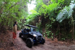 Exclusive Private Buggy Adventure: Forest and Mountains