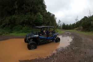 Exclusive Private Buggy Adventure: Forest and Mountains