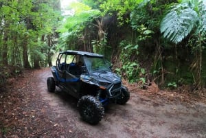 Exclusive Private Buggy Adventure: Forest and Mountains