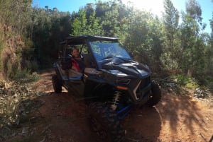 Exclusive Private Buggy Adventure: Forest and Mountains