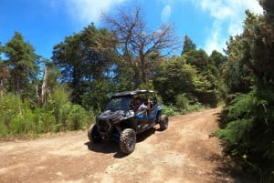 Exclusive Private Buggy Adventure: Forest and Mountains