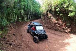 Exclusive Private Buggy Adventure: Forest and Mountains