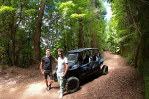 Exclusive Private Buggy Adventure: Forest and Mountains