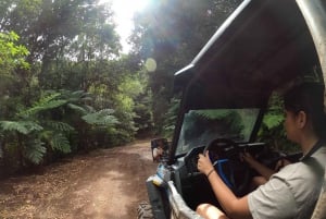 Exclusive Private Buggy Adventure: Forest and Mountains